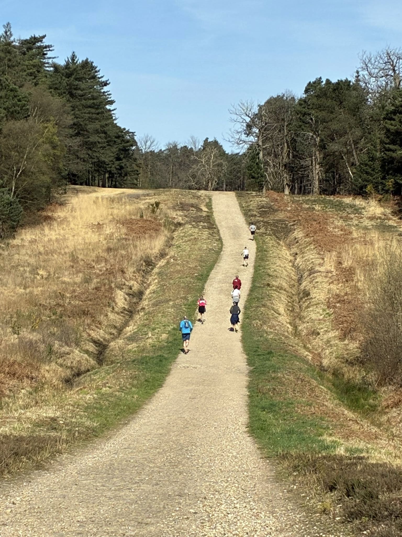 Swinley Forest Trail